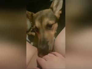 Fap zoo: Intimate sex with a slut at home