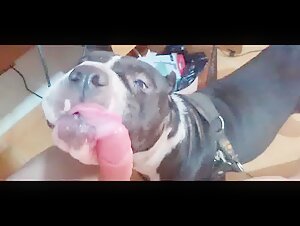 Fat woman and her love for the taste of dog