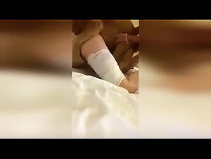 Febrile canine delights