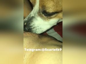 Febrile orgy: dog and adolescent girls