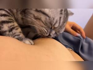 Feline orgies: Milky Bounds and desired flesh