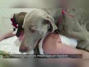 Feline Passion: Forbidden Animal Kisses