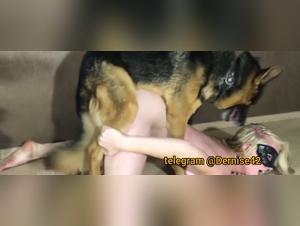 Feline slaves: live hardcore bestiality