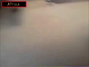 Feline submission, BestIal Delights