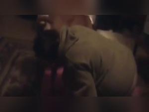 Feline submission, canine pleasure after the act