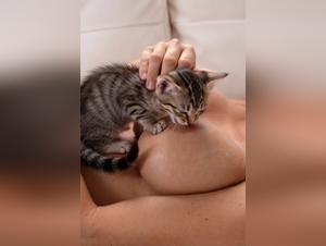 Felino Fantasies: Breastfeeding and Naked Fucking