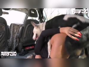 Feminist zoophilia: wild animal delights