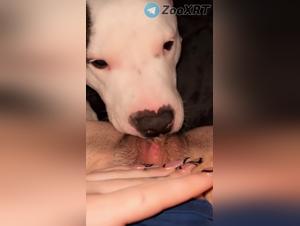 Ferocious animal enjoyments: dog and fucking