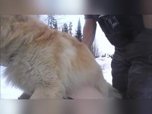 Fetid debauchery: wife, dog and snow