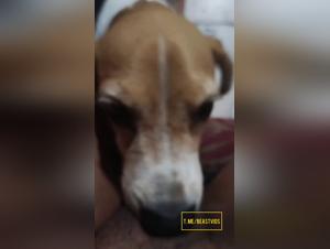 fetid orgies: dog and putass in a delirium