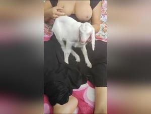 Fetish prohibited: Muslim canine domination