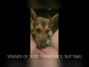 Fetishic orgasms: dogs and fury whores