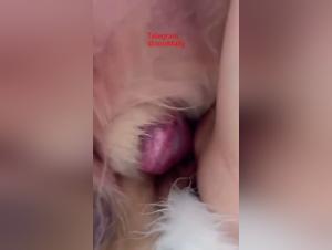 Fetishist fuck: Asian couple dominated by dog