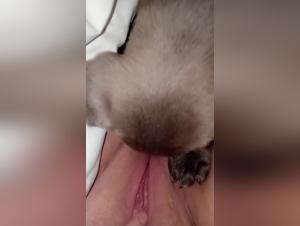 Fierce orgies with dogs