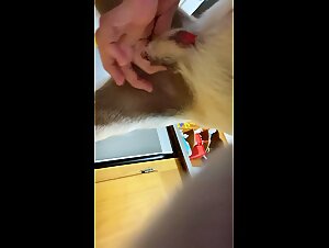 First animal fucks for this young slut