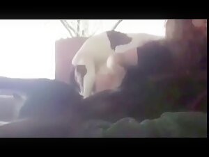 First Experience with a Dog - She Loves It and Wants More