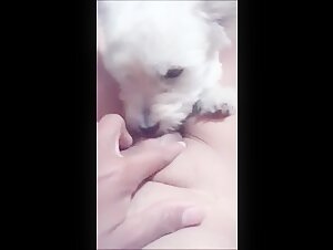 For my husband, a beastly experience