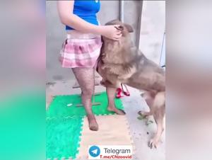 Forbidden Animal Delights: A Chinese Woman and Her Dog