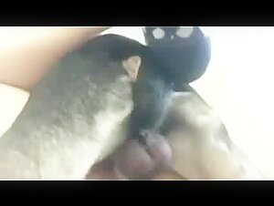 Forbidden delights: a woman and her dog