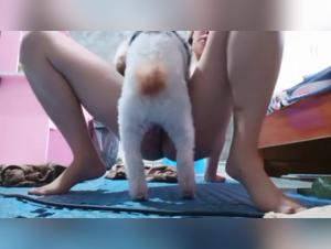 Forbidden delights: Animal and feminine pleasure merge