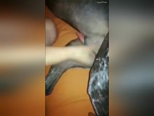 Forbidden Delights: Animals and Debauchery