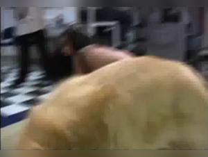 Forbidden Delights: Bestiality Hardcore to the Maximum