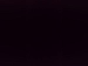 Forbidden Delights: Hardcore Animal Sex