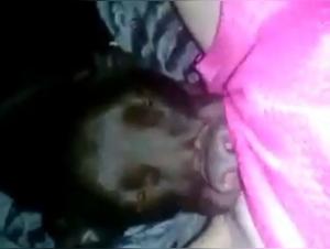 Forbidden Delights: Hardcore Zoophilia on Video