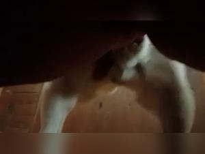 Forbidden Fetishes: Extreme Animal Fuck