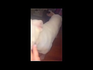 Forbidden Fuck - Intense Zoofilia - Dog and Woman