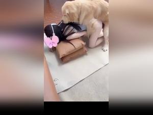 Forbidden fuck: when the slut embraces her dog
