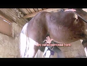 Forbidden Intimacy - An Extreme Encounter with a Dog