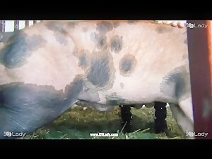 Forbidden Perversion