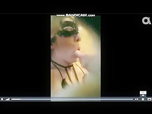 Fortune Feline: A Happy Cat