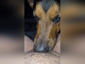 Foulin delights: explore the wild beast