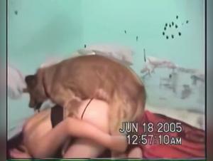 Free animal pornography