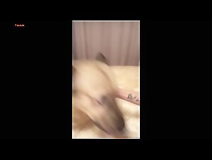 Free Bestiality Lesbian Porn of Sonya and her Dog