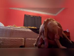 Freetic zoophiles, wild animal enjoyments