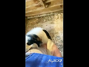 French Bestiary Porn: A Wife And Her Dog Indulge In A Slutty Fuck In Ecstasy