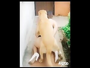 French zoophiles - Sluts and their canine friends