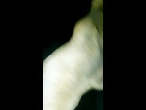 Fuck a dog at home beastly