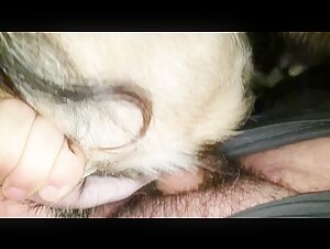 Fuck Goat: An Exciting Beastly Experience