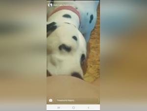 Fuck with Dog: Explore the most sultry videos