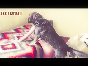 Fucked from behind - Bestiality with a dog