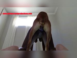 Fucking a Harley Quinn: The slut fucks her dog