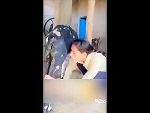 Fucking my dog: a unique sensory experience