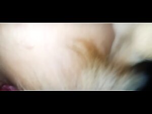 Fucking with my kitten new beastiegals