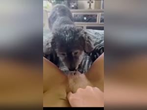 Futa Immersion: Wild desire meets feline