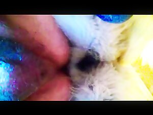 Gay knot compilation 2021 part 1