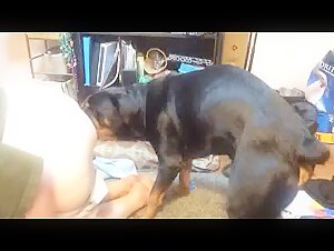 Girl with blue hair trains her dog